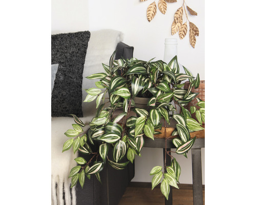Plantă de interior decorativă pe o măsuță laterală