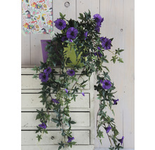 Floare artificială, petunie curgătoare, violet-thumb-4