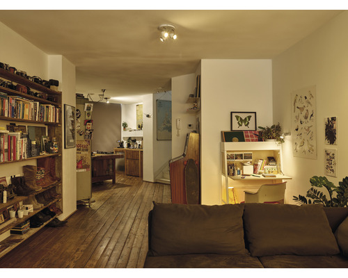 Cameră de zi cu podea din lemn, raft, birou și lampă de tavan