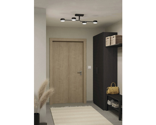 Spațiu de intrare cu plafonieră, ușă, dulap și covor.