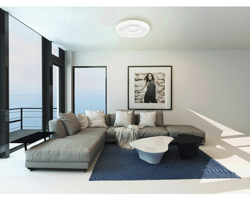 Cameră de zi cu canapea gri, covor albastru și plafonieră rotundă.