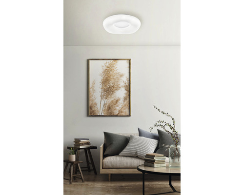 Cameră de zi cu plafonieră rotundă