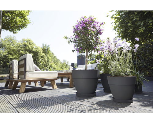 Terasa cu mobilier de grădină și plante în ghivece