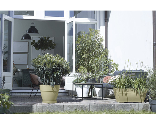 Scenă de terasă cu plante în ghivece și mobilier de grădină în fața unei uși deschise