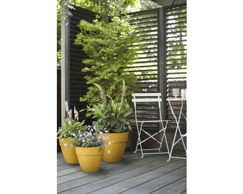 Terasa cu plante în jardiniere, mobilier de grădină și paravan de confidențialitate