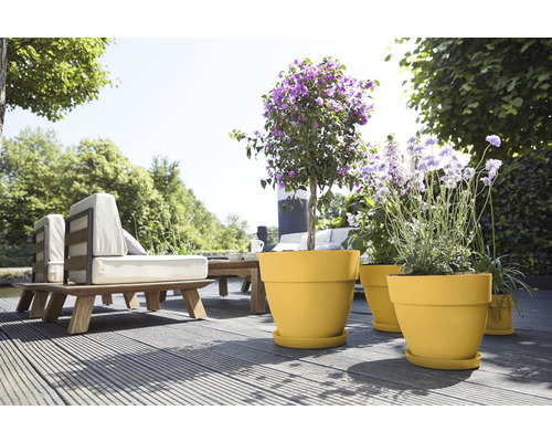 Terasa cu mobilier de grădină și ghivece de flori plantate