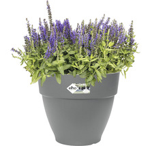 Ghiveci Elho Vibia Campana plastic Ø 35 cm H 29,7 cm antracit