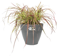 Ghiveci Elho Vibia Campana plastic Ø 35 cm H 29,7 cm antracit