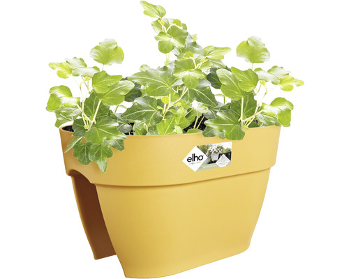 Jardinieră de balcon galbenă cu iederă