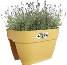 Jardinieră cu lavandă pentru exterior