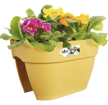 Jardinieră galbenă de balcon cu primule colorate