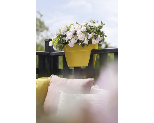 Jardiniere de balcon galbenă cu flori albe pe o balustradă de balcon