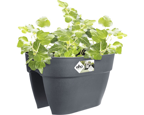 Jardinieră Elho gri închis cu iederă