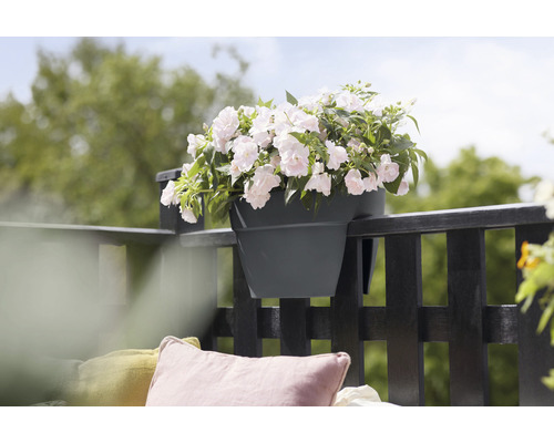 Jardinieră pe balustrada balconului cu plantare completă