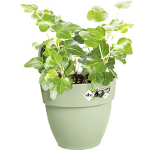Ghiveci de agățat Elho Vibia Campana plastic Ø 20,5 cm H 26,5 cm verde fistic