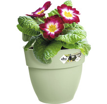 Ghiveci de agățat Elho Vibia Campana plastic Ø 20,5 cm H 26,5 cm verde fistic