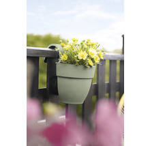 Ghiveci de agățat Elho Vibia Campana plastic Ø 20,5 cm H 26,5 cm verde fistic
