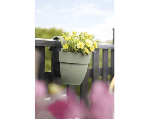 Ghiveci suspendat cu flori galbene pe o balustradă de balcon