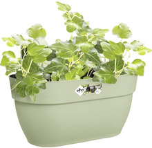 Ghiveci de agățat Elho Vibia Campana plastic 36x24,1x26,5 cm verde fistic