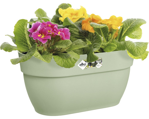 Ghiveci suspendat cu primule colorate