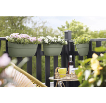 Scenă de balcon cu jardiniere pe balustradă și masă cu băuturi