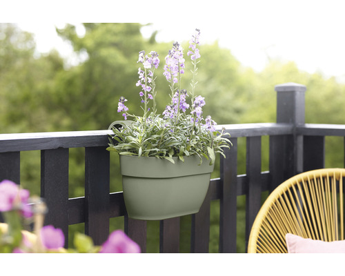 Jardinieră cu flori violete pe o balustradă de balcon