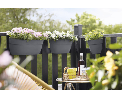 Scenă de balcon cu jardiniere pe balustradă și băuturi pe o masă