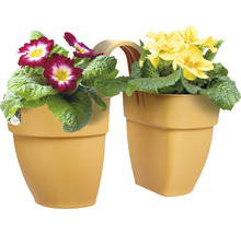 Jardinieră dublă cu primule galbene și roșii