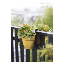 Două jardiniere suspendate cu plante pe balustradă