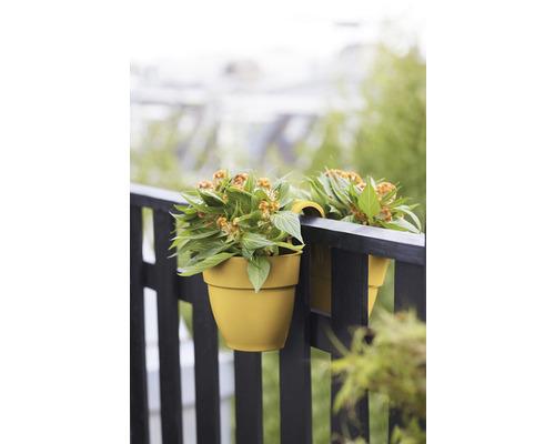 Două jardiniere suspendate cu plante pe balustradă