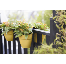Jardiniere galbene de balcon cu plante Celosia atârnă pe o balustradă neagră de balcon.