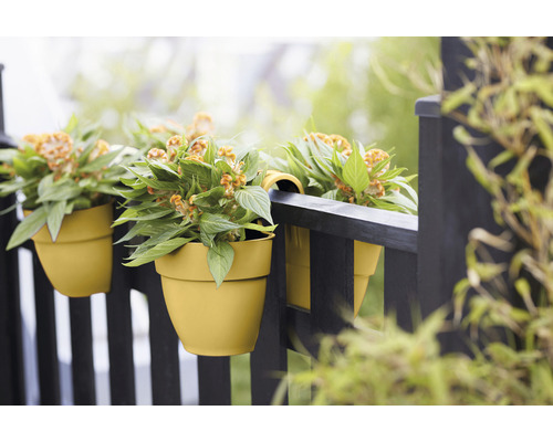 Jardiniere galbene de balcon cu plante Celosia atârnă pe o balustradă neagră de balcon.