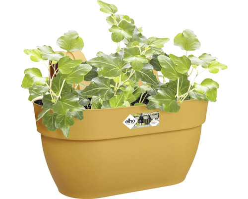 Ghiveci galben cu iederă