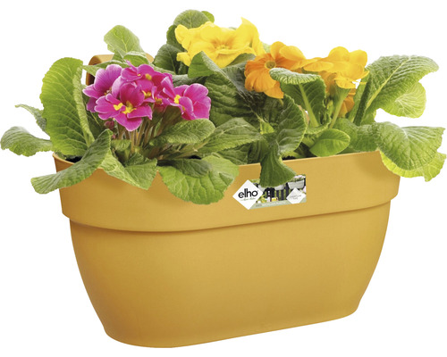 Jardinieră galbenă cu primule colorate