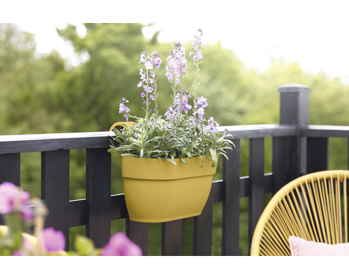 Jardinieră de balcon galbenă cu flori mov pe o balustradă de balcon