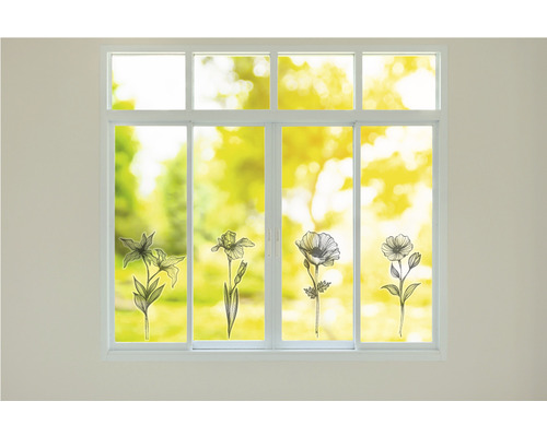 Fereastră cu folie de geam cu plante