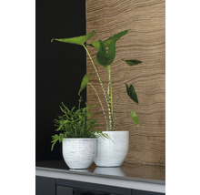 Mască pentru flori, Le Havre, ceramică, Ø 29 cm, alb