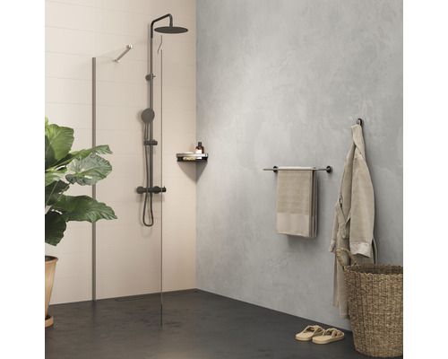 Baie cu duș, suport pentru prosoape și plantă de interior