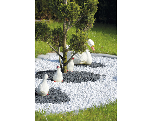 Scenă de grădină cu pietriș decorativ, chiparos și lebede decorative