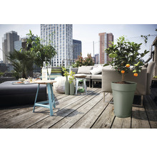 Farfurie ghiveci Elho Loft plastic Ø 24,4 cm H 3,4 cm verde fistic