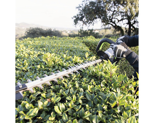 Foarfecă de tuns gard viu taie gard viu în grădină.