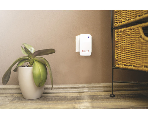 Scenă cu un detector de mișcare Emos, o plantă în ghiveci și un raft cu coșuri