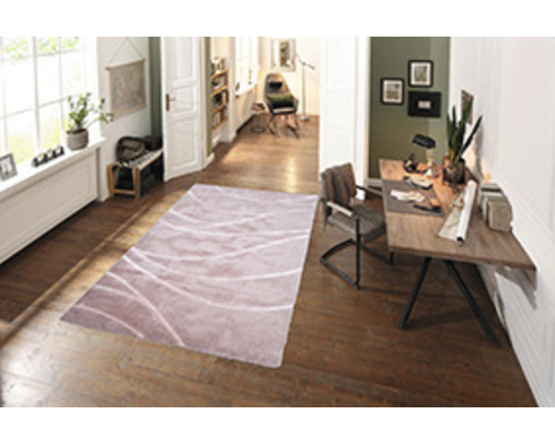 Living cu covor și spațiu de lucru