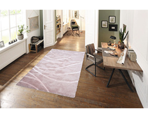 Living cu covor și podea din lemn