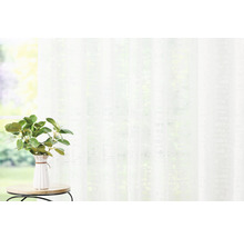 Cortină decorativă albă în fața unei ferestre cu o plantă în prim-plan