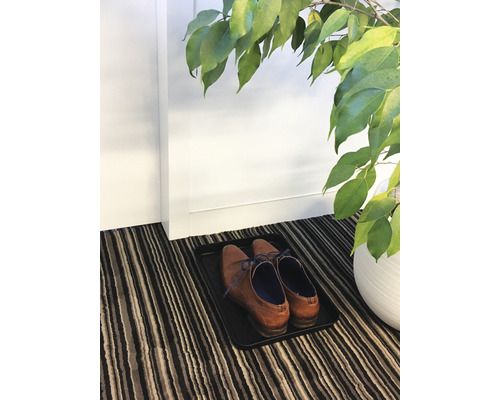 Pantofi pe suportul de pantofi în zona de intrare