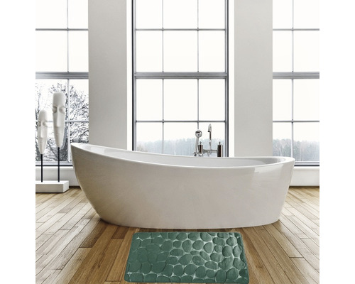 Baie cu cadă, robinet, ferestre și covor de baie