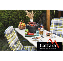 Scenă de grătar în aer liber cu mâncare, băuturi și logo-ul Cattara