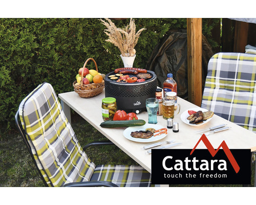 Scenă de grătar în aer liber cu mâncare, băuturi și logo-ul Cattara