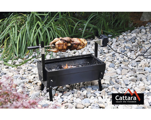 Grătar cu pui și frigare rotativă în grădină